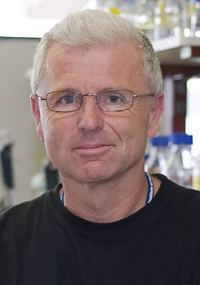image of David Weinstock