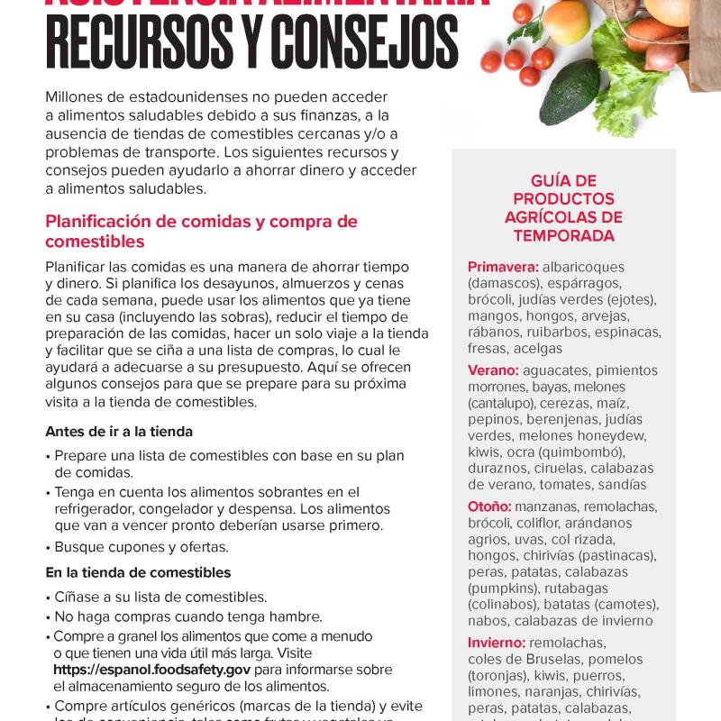 Asistencia alimentaria recursos y consejos