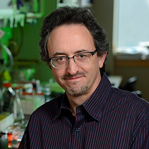 Joel Pomerantz