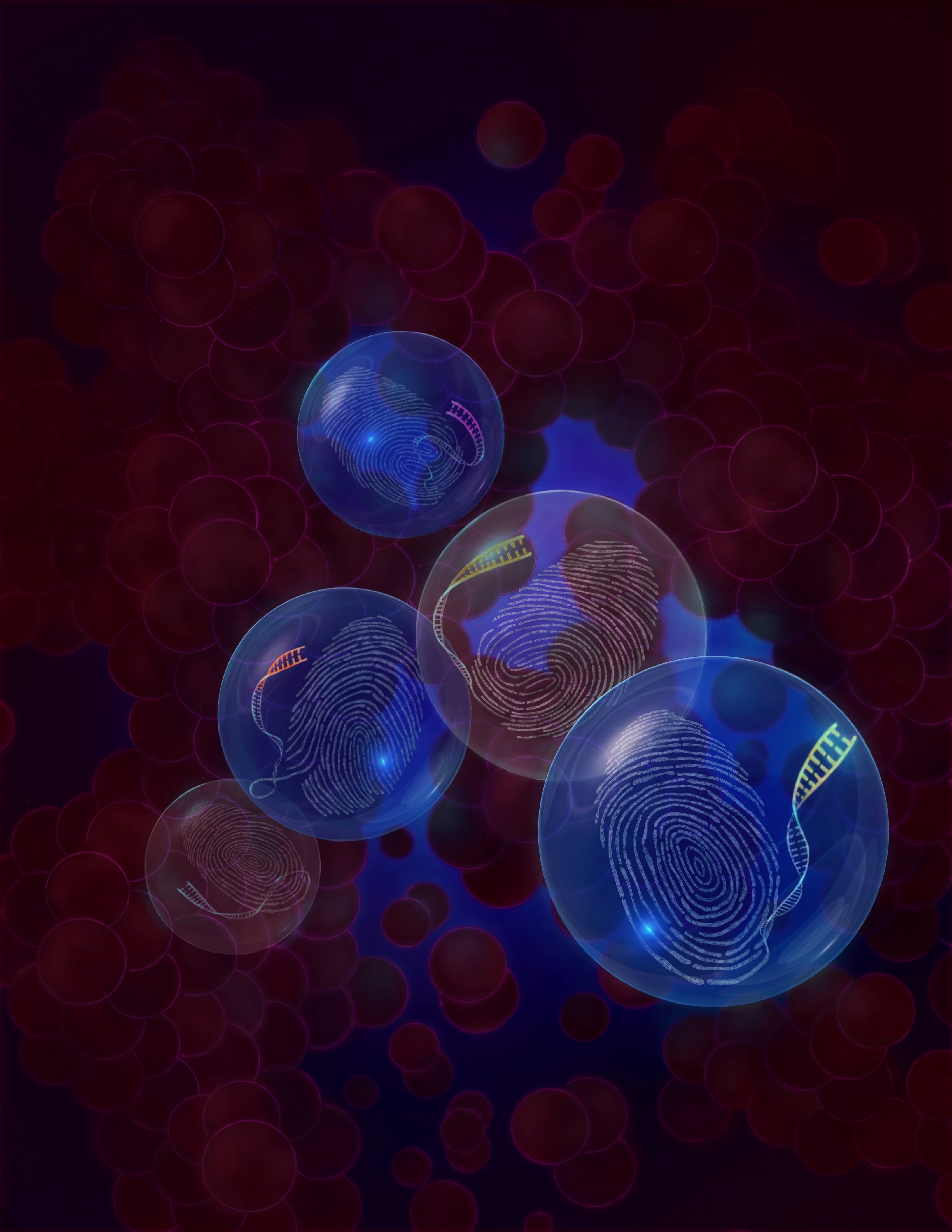 The article describes the development of a novel technology – Genotyping of Transcriptomes (or GoT) – which enables to study the impact of somatic mutations (indicated by blue glow) in primary human cells, in the context of their native cell identity (<em>fingerprints</em>). GoT links single-cell somatic genotyping with droplet-based single-cell RNA-seq in thousands of cells by unique barcodes (indicated by different colors on the tips of the fingerprint DNA). Notably, the fingerprints represented in the illustration are the actual fingerprints of the three first co-authors of the manuscript. – Dan Landau < /br><em>Artwork by Hratch Arbach.