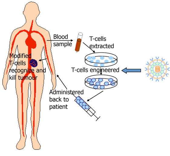 Image result for image of car-t cells