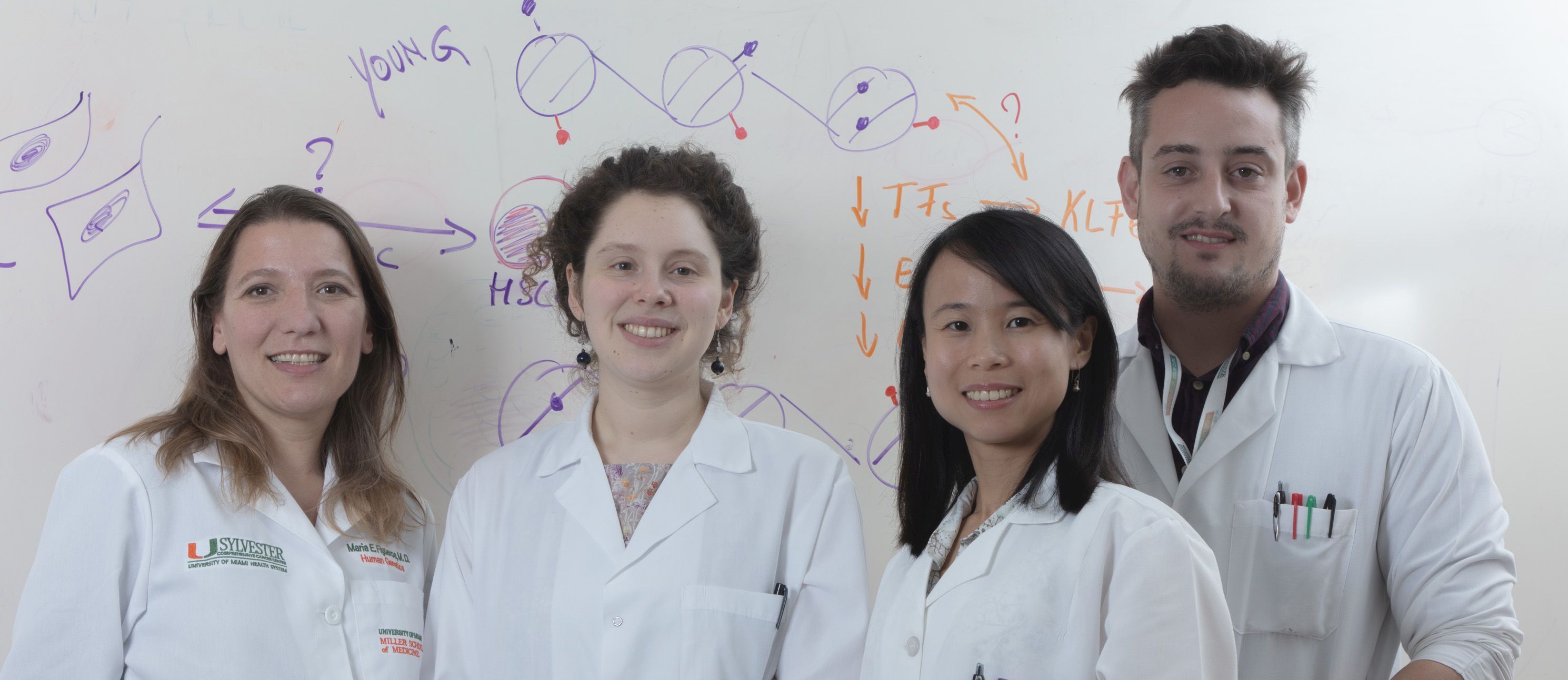 Figueroa Lab