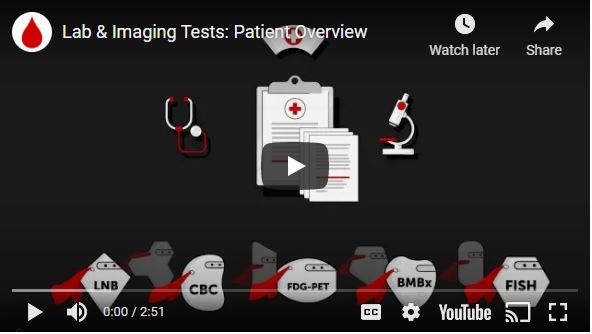 Education Videos - Lab and Imaging Tests