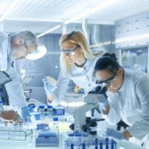 researchers