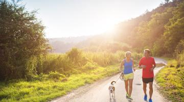 An older white couple moves along an outdoor path alongside their dog while the sun shines in the background.