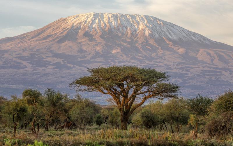 C2C Mt Kilimanjaro Mobile