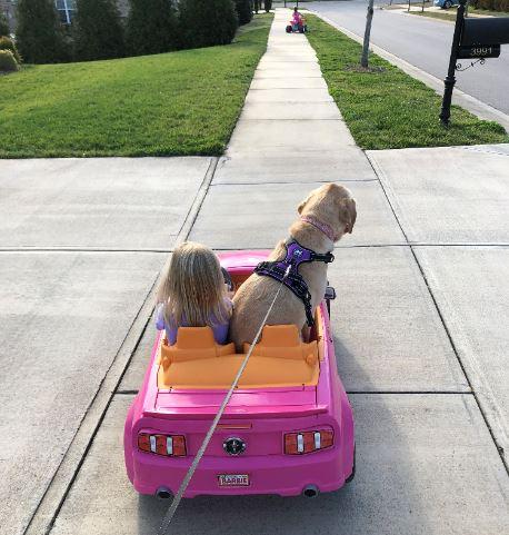 girl and dog in car