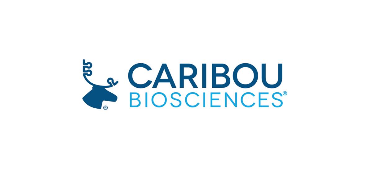 Caribou