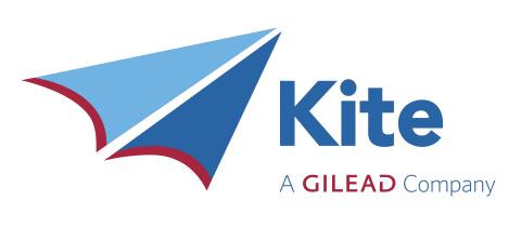 Kite