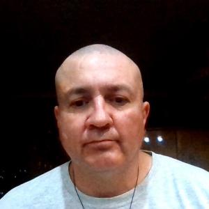 chronic myeloid leukemia (CML)